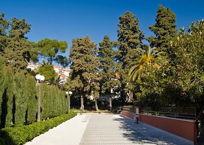 Dalmatino